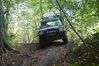 DSC_7136.JPG