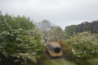 DSC_1118.JPG